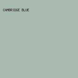 A8BAAE - Cambridge Blue color image preview