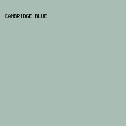 A8BDB3 - Cambridge Blue color image preview