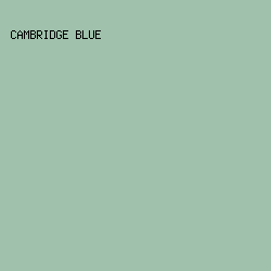 a0c1ac - Cambridge Blue color image preview