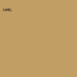 C19E64 - Camel color image preview