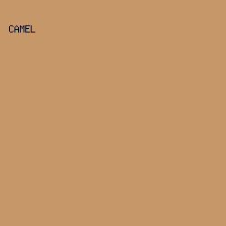 C69769 - Camel color image preview