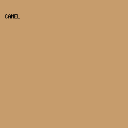 C69C6C - Camel color image preview