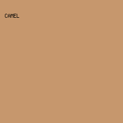c6976d - Camel color image preview