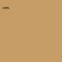 c69d67 - Camel color image preview