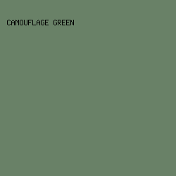 698167 - Camouflage Green color image preview