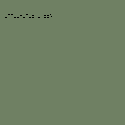 6F8063 - Camouflage Green color image preview