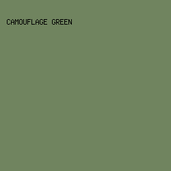 70845F - Camouflage Green color image preview