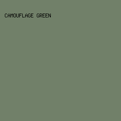 718069 - Camouflage Green color image preview