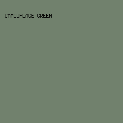 71816D - Camouflage Green color image preview