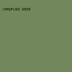 72875B - Camouflage Green color image preview