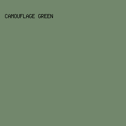 72876C - Camouflage Green color image preview