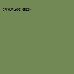 728956 - Camouflage Green color image preview
