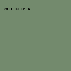 738a6d - Camouflage Green color image preview