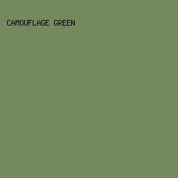 748a5e - Camouflage Green color image preview