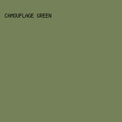 758159 - Camouflage Green color image preview