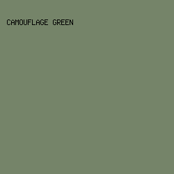 758469 - Camouflage Green color image preview