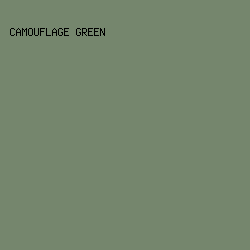 75866D - Camouflage Green color image preview