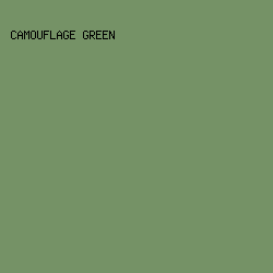 759266 - Camouflage Green color image preview