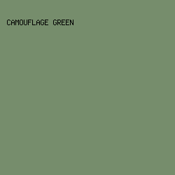768D6C - Camouflage Green color image preview