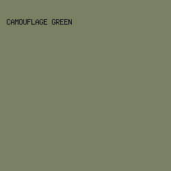 778061 - Camouflage Green color image preview