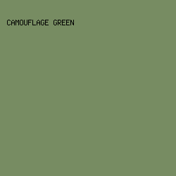 778C62 - Camouflage Green color image preview