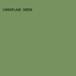 77925F - Camouflage Green color image preview