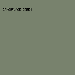 78826D - Camouflage Green color image preview