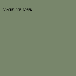 78866B - Camouflage Green color image preview