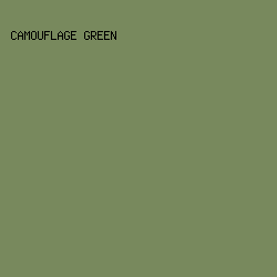 78895D - Camouflage Green color image preview