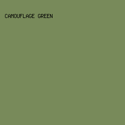 788a5a - Camouflage Green color image preview