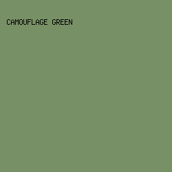 789065 - Camouflage Green color image preview