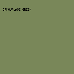 798759 - Camouflage Green color image preview