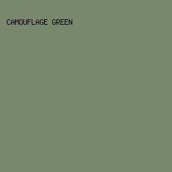 79886D - Camouflage Green color image preview