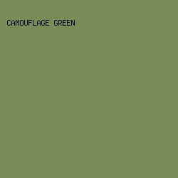 798C57 - Camouflage Green color image preview