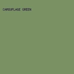 799163 - Camouflage Green color image preview