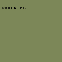 7C8758 - Camouflage Green color image preview