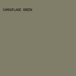807e69 - Camouflage Green color image preview