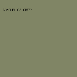 808565 - Camouflage Green color image preview