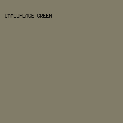 817c68 - Camouflage Green color image preview