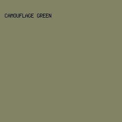 818366 - Camouflage Green color image preview