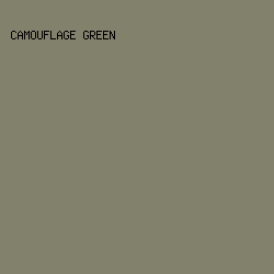 82816C - Camouflage Green color image preview