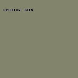 82846C - Camouflage Green color image preview