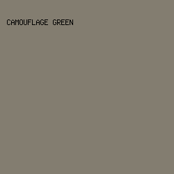 837D70 - Camouflage Green color image preview