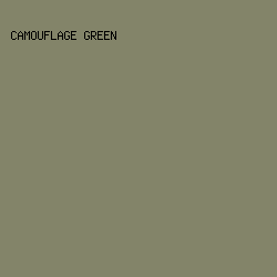 838469 - Camouflage Green color image preview