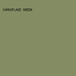 848C63 - Camouflage Green color image preview