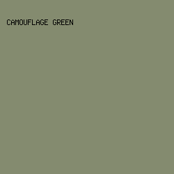 848b6f - Camouflage Green color image preview
