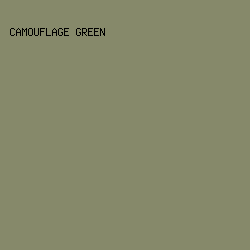 86896a - Camouflage Green color image preview