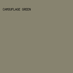 87836F - Camouflage Green color image preview