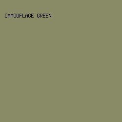 898A66 - Camouflage Green color image preview