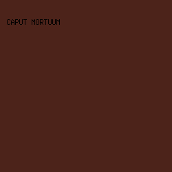 4C231A - Caput Mortuum color image preview
